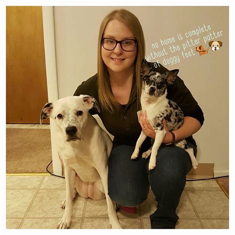 Meet The Village Vet Staff .